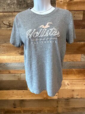 Hollister Women's Medium Gray Logo Tee-Pink Bird Graphic, Casual T-Shirt